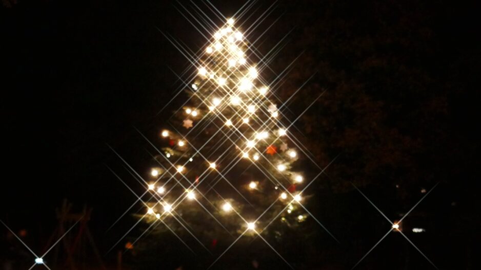 Spenden für die Weihnachtstanne auf unserem Marktplatz